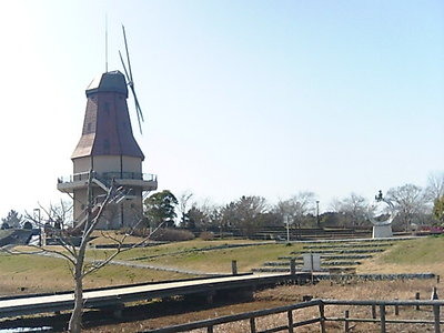 霞ヶ浦総合公園の風車